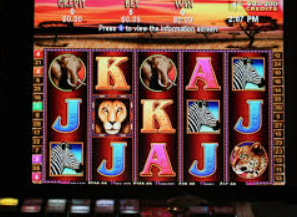 壹号下载app链接2024最新版